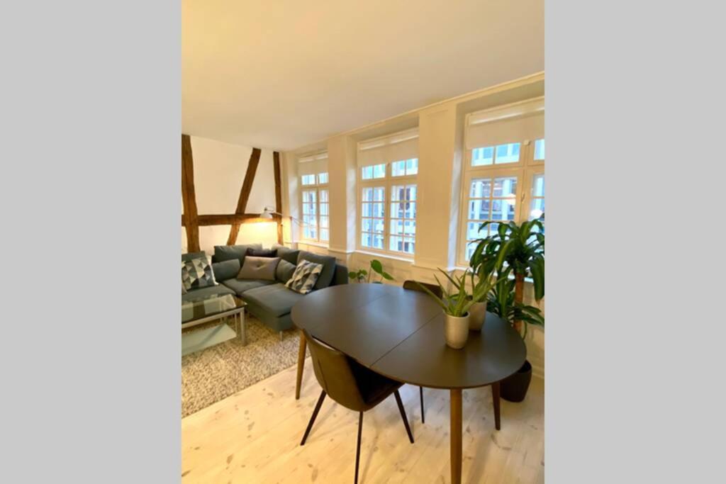 Luxury 'Kings Garden' City-Flat In Center Of Town Apartment København Ngoại thất bức ảnh